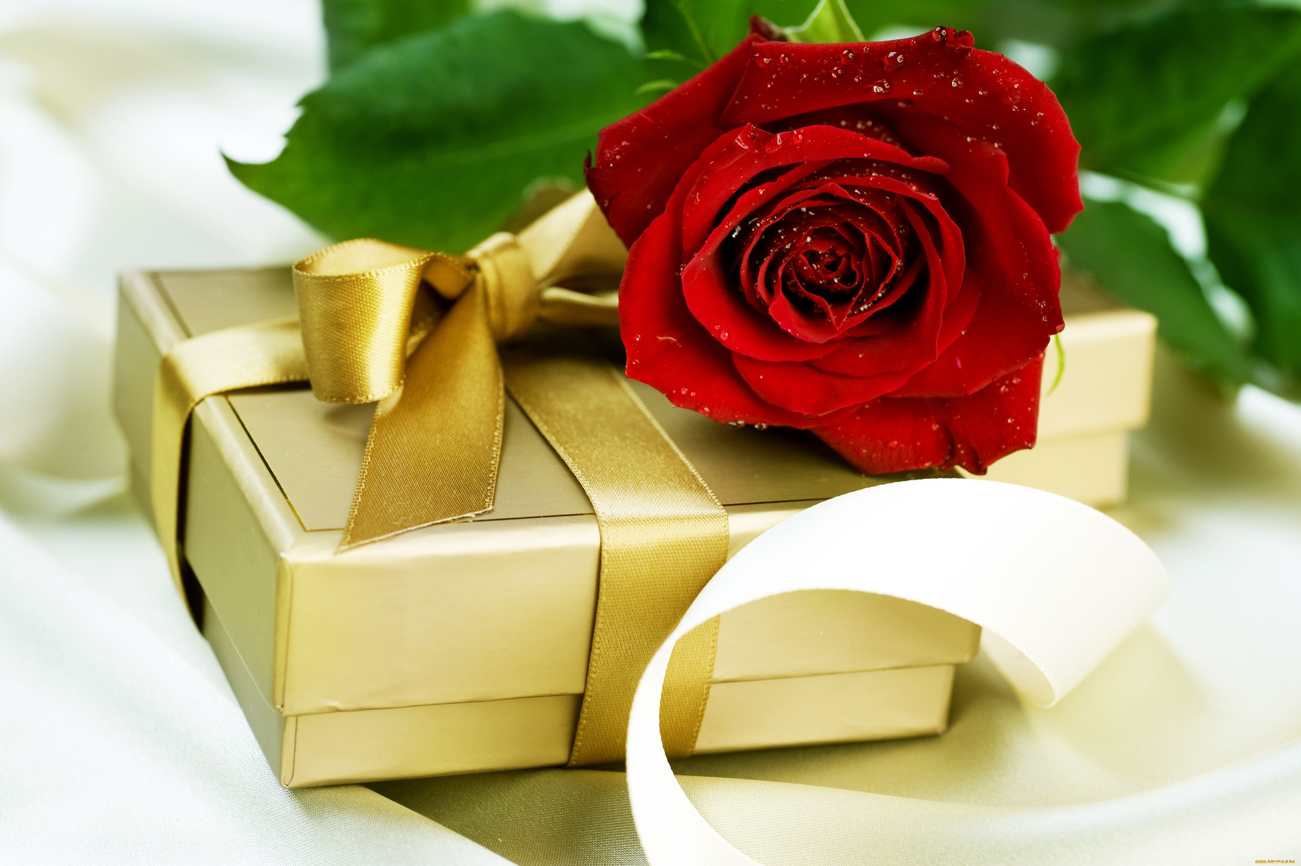 Красивый подарок женщине на день рождения. Цветы в подарок. Розы подарок. С днем рождения. Подарок на день рождения.